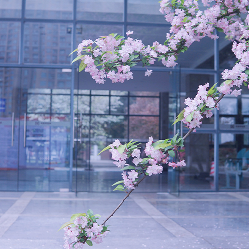 大學簡介