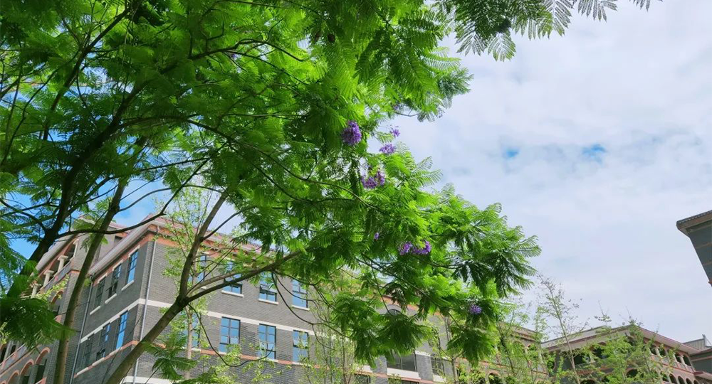 時光匆匆，歲月如歌！——珍惜自己最美好的時光，珍惜時下，放肆而不張揚的青春年華。