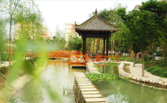歷史沿革(概)校史