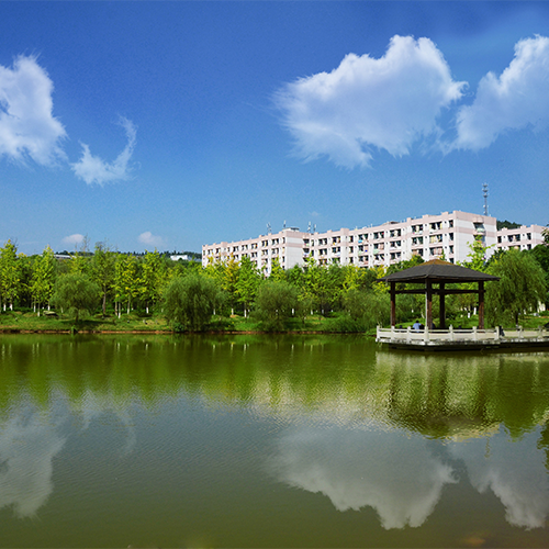 我的大學(xué)