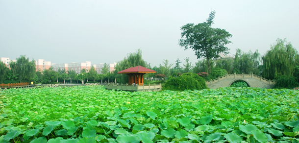 我的大學-大學志