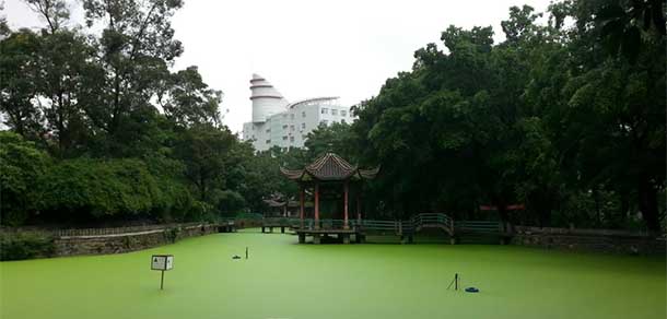 四川機電職業(yè)技術(shù)學院 - 最美院校