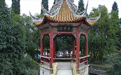 綿陽職業(yè)技術(shù)學(xué)院 - 我的大學(xué)