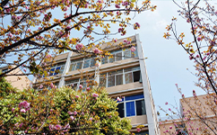 宜賓職業(yè)技術學院 - 我的大學