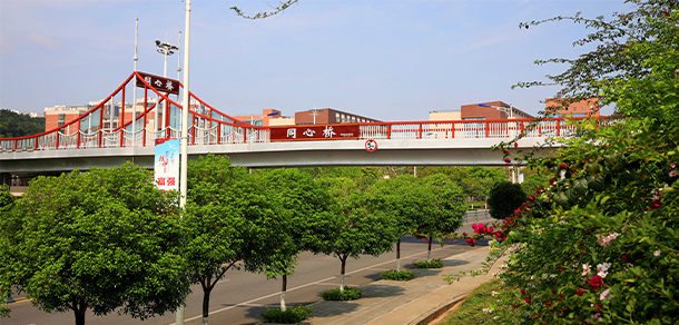 四川中醫(yī)藥高等?？茖W(xué)校 - 最美大學(xué)