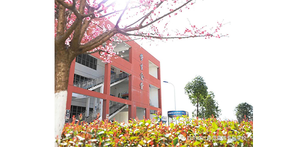 四川幼兒師范高等?？茖W(xué)校 - 最美大學(xué)