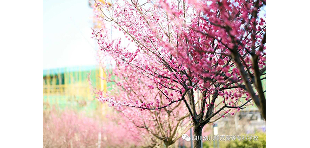 四川幼兒師范高等?？茖W(xué)校 - 最美大學(xué)