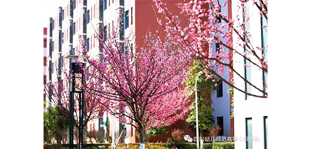 四川幼兒師范高等專科學(xué)校 - 最美大學(xué)