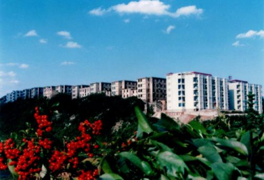 90年代校園
