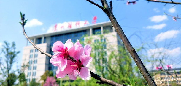 2022年招生簡(jiǎn)章