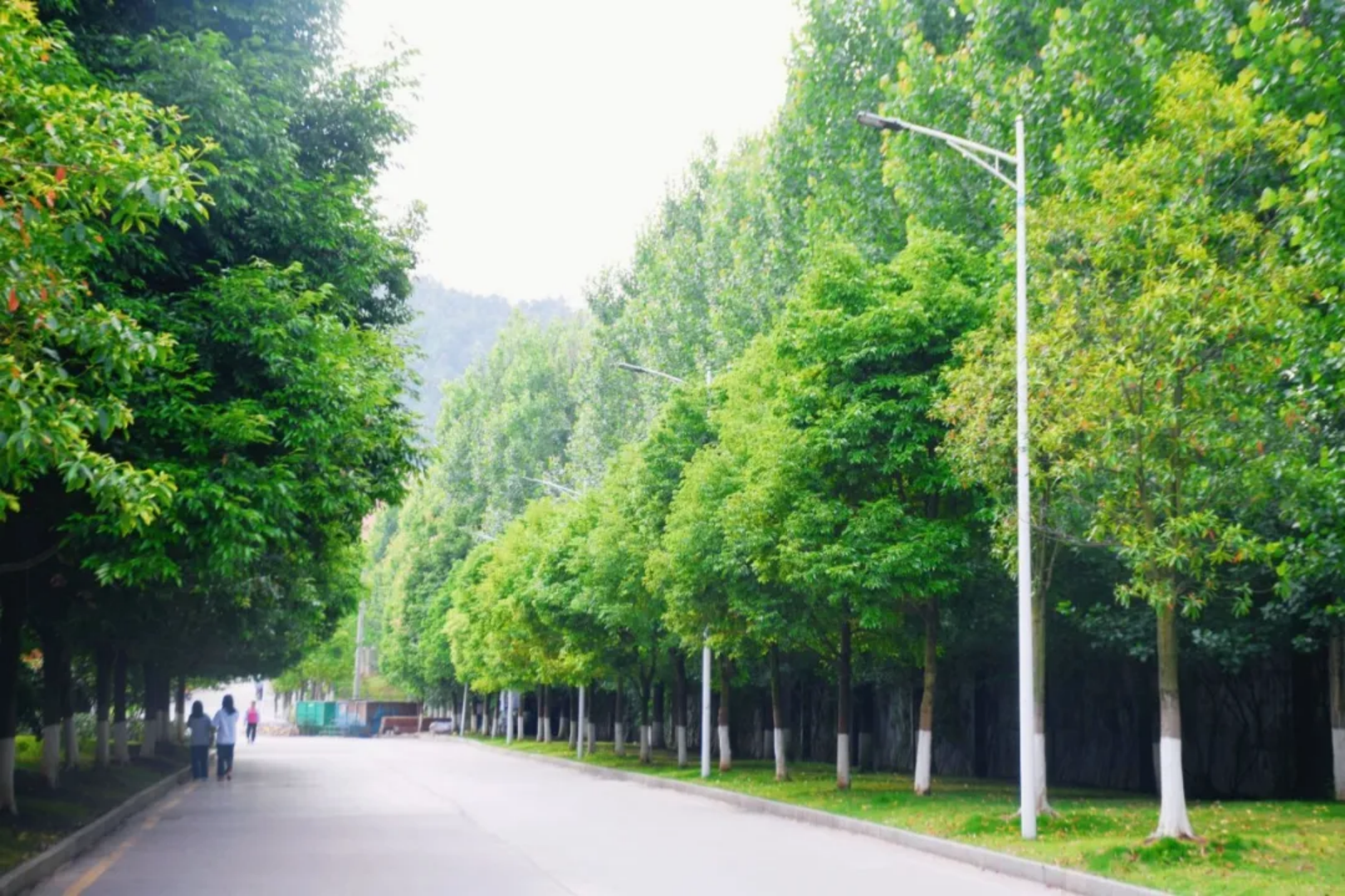 貴州黔南經(jīng)濟(jì)學(xué)院