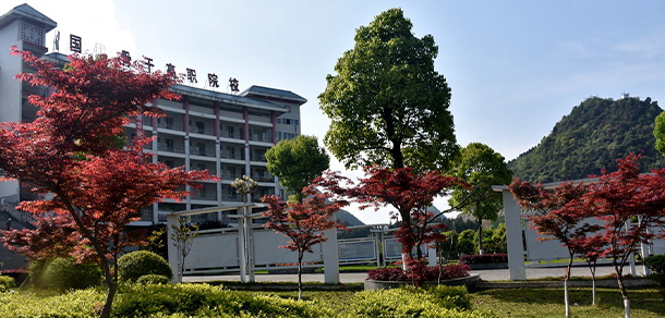 我的大學(xué)-大學(xué)志