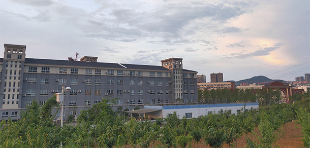 我的大學(xué)-大學(xué)志