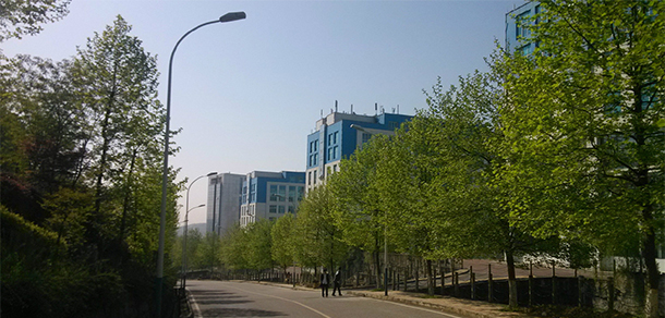 我的大學(xué)-大學(xué)志