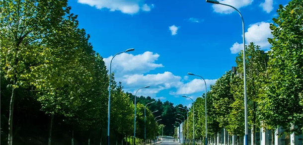 我的大學(xué)-大學(xué)志