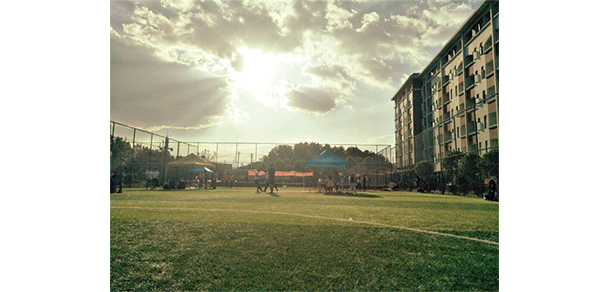 我的大學(xué)-大學(xué)志