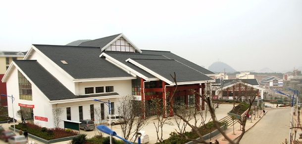我的大學(xué)-大學(xué)志