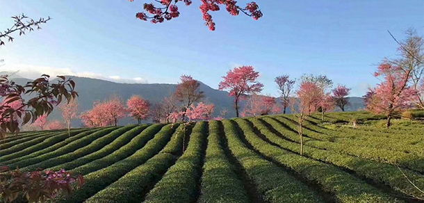 黔南民族職業(yè)技術學院 - 最美院校
