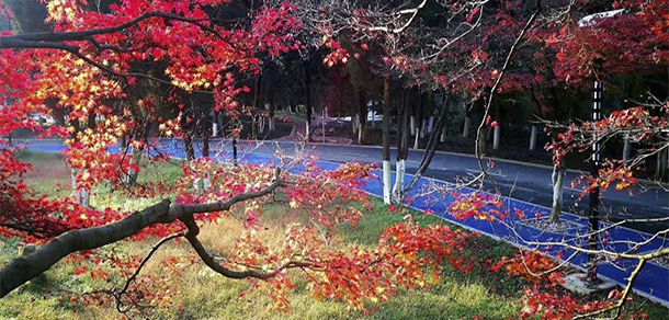 2022年招生簡(jiǎn)章