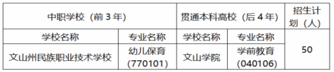 文山學院 文山州民族職業(yè)技術學校2025年“3+4”招生簡章