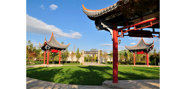 我的大學(xué)-大學(xué)志