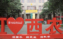 2025年強(qiáng)基計(jì)劃招生簡(jiǎn)章