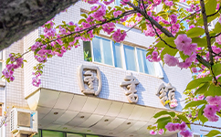 2025年強(qiáng)基計(jì)劃招生簡(jiǎn)章