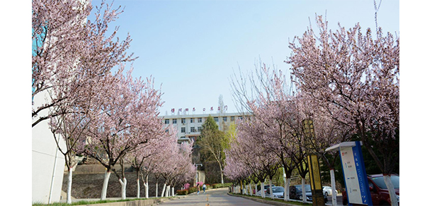 2022年招生分數(shù)