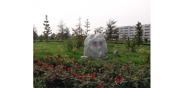 我的大學(xué)-大學(xué)志
