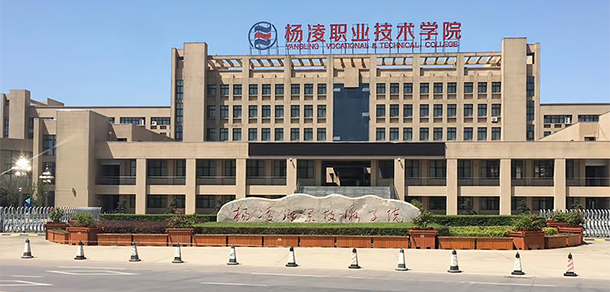 我的大學(xué)-大學(xué)志
