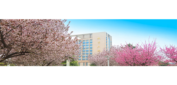 我的大學-大學志