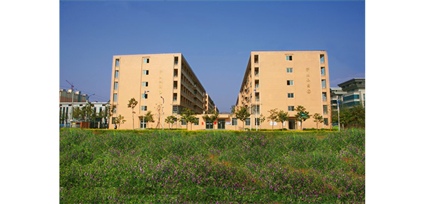 我的大學(xué)-大學(xué)志