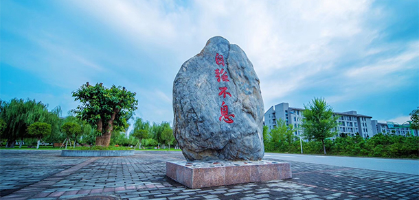 我的大學(xué)-大學(xué)志