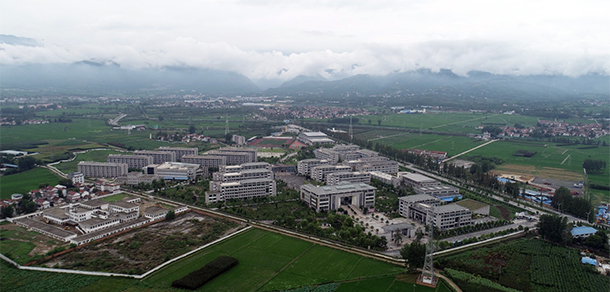我的大學(xué)-大學(xué)志