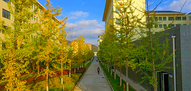 我的大學(xué)-大學(xué)志