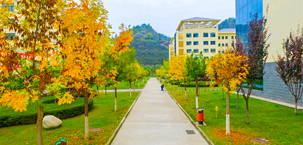 我的大學(xué)-大學(xué)志