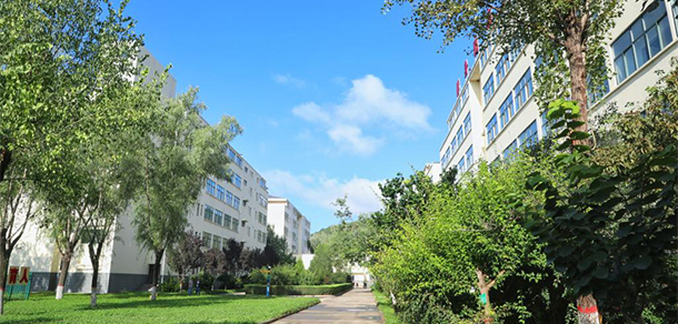 我的大學(xué)-大學(xué)志