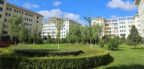 我的大學(xué)-大學(xué)志