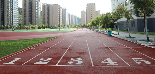 我的大學(xué)-大學(xué)志