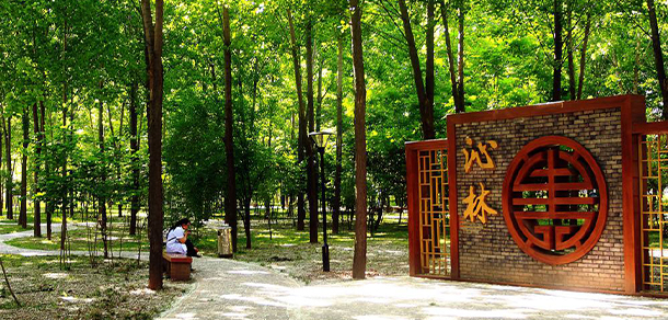 2022年招生分數(shù)