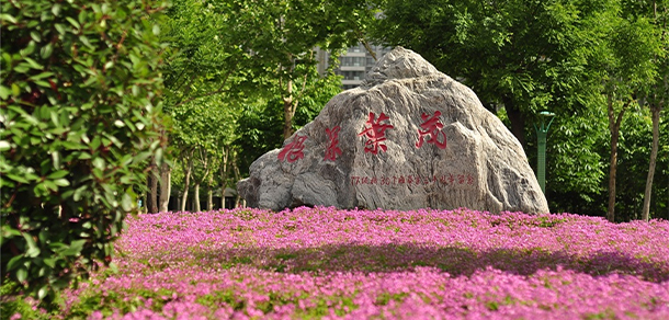 我的大學(xué)-大學(xué)志