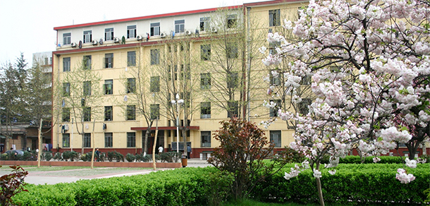 我的大學(xué)-大學(xué)志