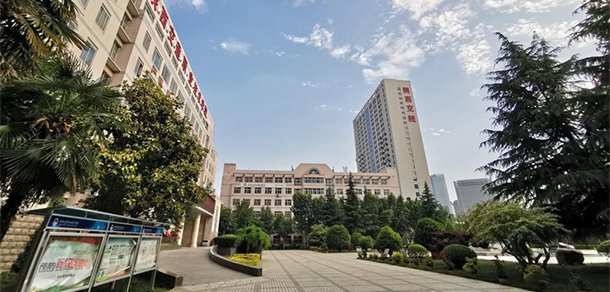 我的大學(xué)-大學(xué)志