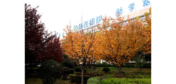 2022年招生分?jǐn)?shù)