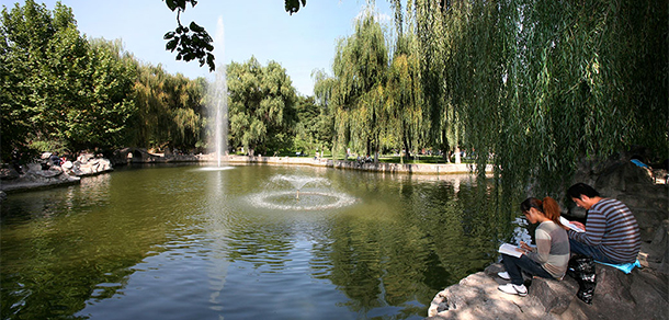 我的大學(xué)-大學(xué)志