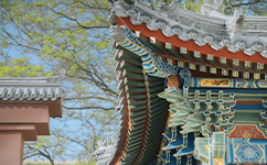 2025年強(qiáng)基計(jì)劃招生簡(jiǎn)章