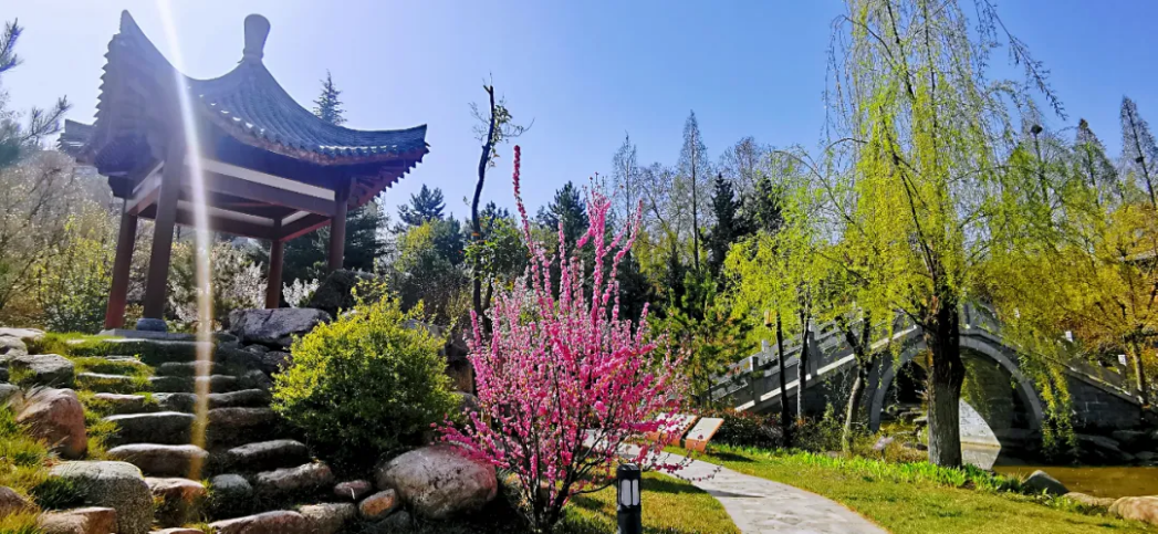 甘肅林業(yè)職業(yè)技術(shù)學(xué)院2023年單考單招報(bào)考指南