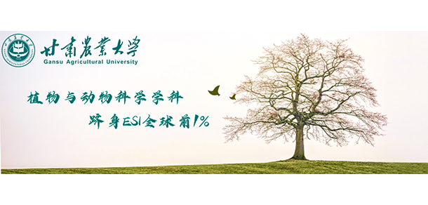 2022年招生章程