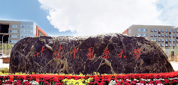 我的大學(xué)-大學(xué)志