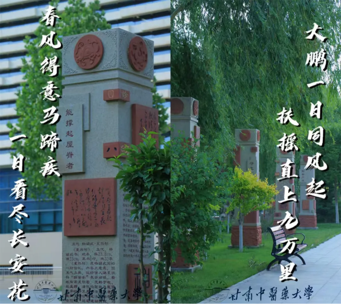 高考倒計時10天｜愿你執(zhí)筆為劍，不負熱血青春！